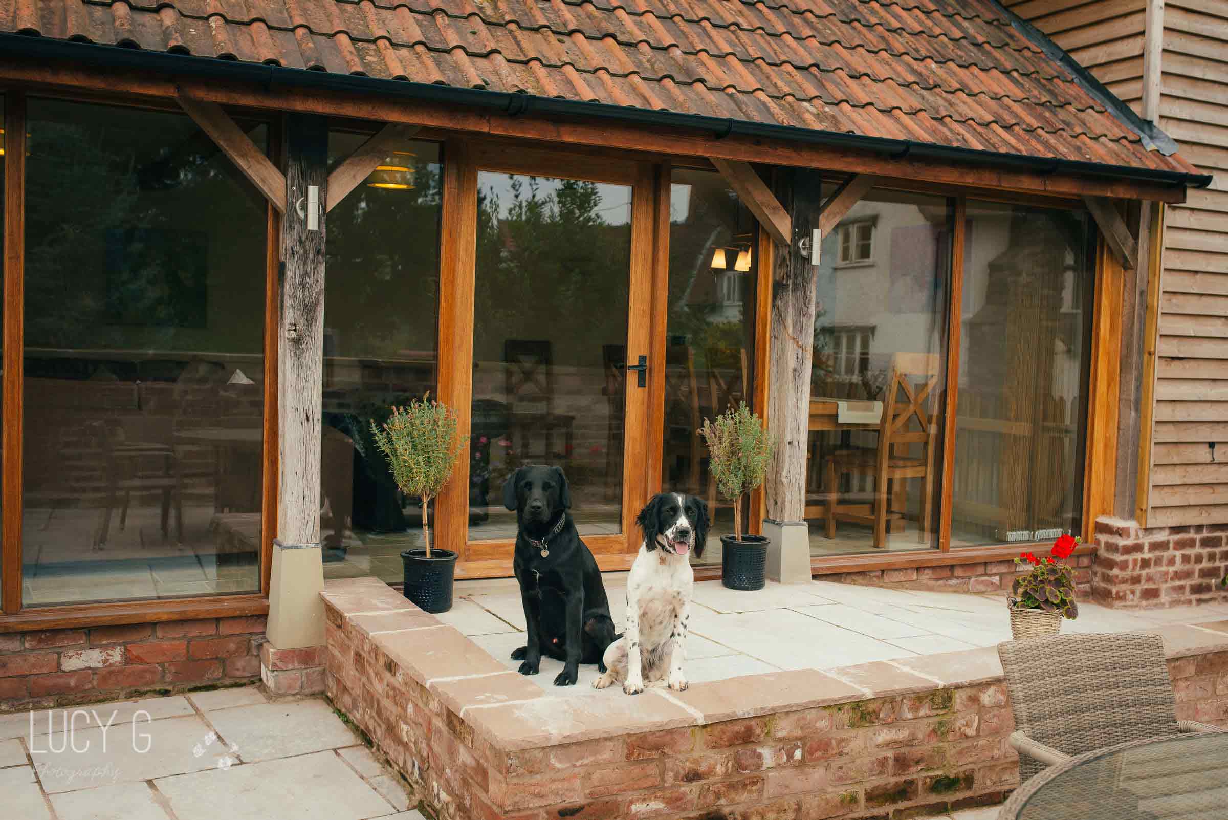 Lower House Barn with dogs